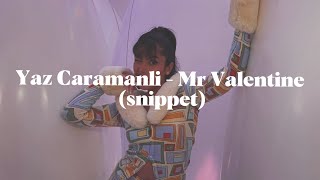 Yaz Caramanli  Mr Valentine snippet [upl. by Nepsa]