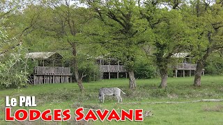 LODGES SAVANE DU PAL 🦓 [upl. by Godwin632]