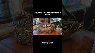 Creating the Final Approach “Live Wigeon” Decoys decoys duckdecoys decoycarving hunting [upl. by Ramon]