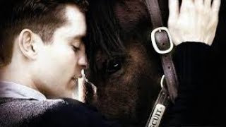 Seabiscuit Full Movie Facts amp Review in English  Tobey Maguire  Jeff Bridges [upl. by Khalil306]