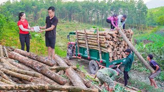 Buy Wood From Villagers On High Hills and Use Trucks To Transport and Sell To Traders  Daily Farm [upl. by Alyse]