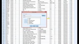 Navigating large SPSS data sets  CCHS2007 [upl. by Eartha752]