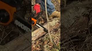 Worx Chainsaw worx [upl. by Naeruat]