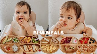 Easy Baby Led Weaning Meals  My Babys Favorite Foods For Breakfast Lunch amp Dinner [upl. by Kcirttap115]