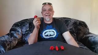 MUST WATCH Me vs Carolina Reaper from Ultibro Farms 100 Pure EVIL [upl. by Yart]