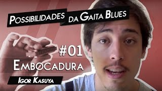 Possibilidades da Gaita Blues 01  Embocadura  Igor Kasuya [upl. by Eignat]