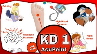 KD 1 Acupuncture Point Functions amp Location [upl. by Wilow]