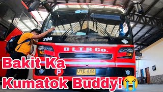 Bakit Nyo Pinakatok😭 DL 296 Bus Kumatok Ang Makina😥hyundaibus dltbco busdriver [upl. by Paige]