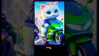 “Zoom out” kitten rider happycats cat catlover catvideos fyp [upl. by Beuthel81]