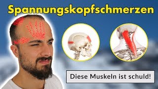 Spannungskopfschmerzen  ist eine Muskelverspannung  Ursache amp Lösung [upl. by Annavoig]