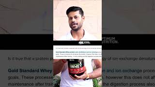 ON GOLD STANDARD 100  WHEY LAB TEST REPORT  shorts review fitness gym [upl. by Prima916]