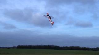 Pilot RC SBach 50cc Flip Flopping 4 [upl. by Airel]