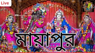 mayapur  মায়াপুর  হরে কৃষ্ণ মহামন্ত্র কীর্তন মধুর সুরে  sri dham mayapur kirtan Bhajan [upl. by Weitzman]