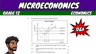 Microeconomics Grade 12 Economics [upl. by Assila]