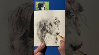 【水彩画】ボーダーコリーを描いてみました Watercolor drawing a border collie イラスト 水彩 犬 ボーダーコリー かわいい watercolor [upl. by Eive]