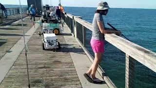 Navarre Fishing Pier  April 15 2024 [upl. by Garland]