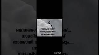 True words  Malayalam  shorts [upl. by Llennehc]