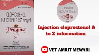 injection pregma uses in hindi veterinary injection cloprostenol संपूर्ण जानकारी [upl. by Carrelli]