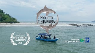 DOCUMENTÁRIO  Projeto Tintureira [upl. by Lewap]