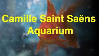 Camille Saint Saëns  Aquarium from Carnival of the Animals [upl. by Ibbor350]