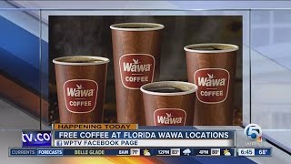 Free coffee Friday at Florida Wawa locations [upl. by Punak]