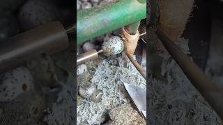 The process of making bodhi tree seeds into bracelets and necklaces [upl. by Pederson]