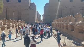 Rams RoadSphinx Street – Avenue of Sphinxes in Karnak Temple Luxor ancient Egypt [upl. by Babs]