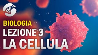 BIOLOGIA  Lezione 3  La Cellula Eucariota [upl. by Mirabel634]