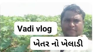 ખેતર નો ખેલાડી એટલે આપડે khetar no kheladi atle aade kheti vadivlog farmer farming [upl. by Eednas]