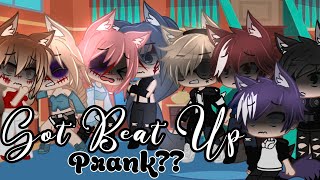 GOT BEAT UP PRANK  Gacha Club  Audrey Cookie [upl. by Scarrow]