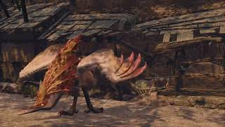 Aknosom ecology Monster hunter rise sunbreak ver アケノシルム [upl. by Sillaw]