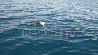 Report TV  Vlorë gjendet i mbytur në Sazan skafisti i gomones me 1 t kanabis [upl. by Annalla522]