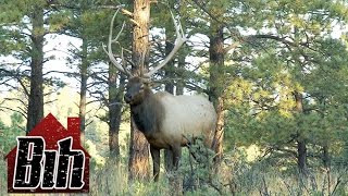 Hunting Old School Bowhunting Elk Reload and Keep Shootin’ [upl. by Noreen]