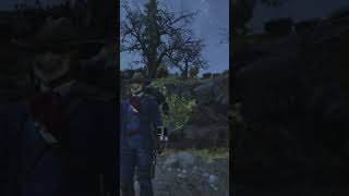 Wasteland Treasure 3 Forest Treasure map 3 falloutgaming treasure fallout76 shorts [upl. by Ysnap]