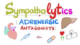 Sympatholytics Adrenergic Antagonists — Alpha blockers Beta blockers Calcium channel blockers [upl. by Lauter439]