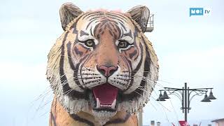 Carnevale di Viareggio confermato Martedì Grasso il gran finale [upl. by Mayram35]