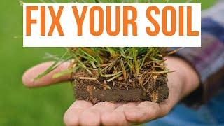 3 ways to help your lawn succeed in clay soil [upl. by Onirotciv314]