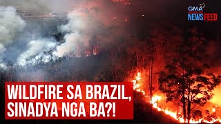 Wildfire sa Brazil sinadya nga ba  GMA Integrated Newsfeed [upl. by Funch]