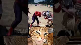 Whats Wrong Spiderman 🕸 treadingshorts memes trollface fypシ゚viral [upl. by Novak]