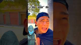 Amor selvagemshortvideohumorviralvideo [upl. by Searle905]