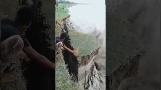 Karnali river cutting floodriver cute karnalishorts [upl. by Learrsi704]