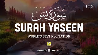 Worlds most Amazing recitation of Surah Yasin Yaseen سورة يس  Zikrullah TV [upl. by Grizel]