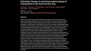 Pathologic Changes in and Immunophenotyping of Polymyositis in the Dutch Kooiker Dog [upl. by Anestassia]