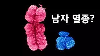 Y염색체의 퇴화남자는 결국 멸종 되는걸까 신박과학 [upl. by Verina]