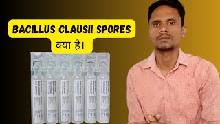 Bacillus Clausii Spores क्या है। Bacillus Clausii Spores Suspension Uses in Hindi। [upl. by Jana]