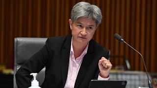 Penny Wong exposing ‘obvious’ antiSemitism of the left [upl. by Gardner836]