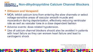 Francesca Gutierrez PharmD  Chemical Shocks to the Heart Antiarrhythmics [upl. by Milan]