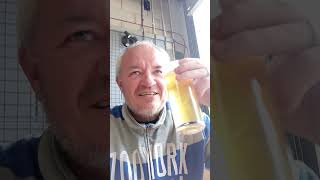 Beestonia Blonde  Quick Beer Review [upl. by Oiramat]