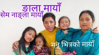 TamangGajal  Ngala semla maya  Mero manko maya By Ram tamang [upl. by Ahsratan]