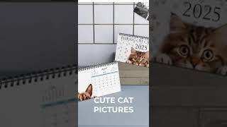 Peeking Cat Calendar Peeking Cat Desk Calendar Cat Desk Calendar Cat Calendar Desk Calendar [upl. by Chisholm466]